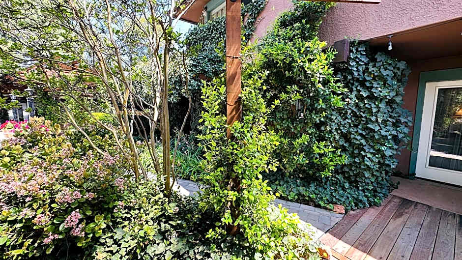 Lantern Light Inn - Romantic Getaway