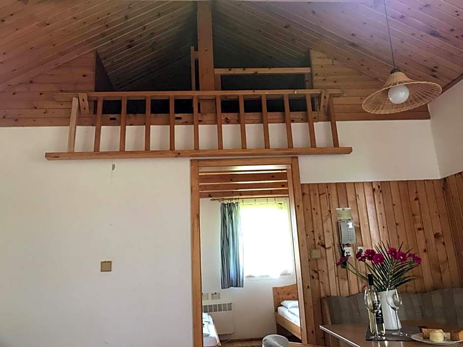 Chatka Tatralandia 114