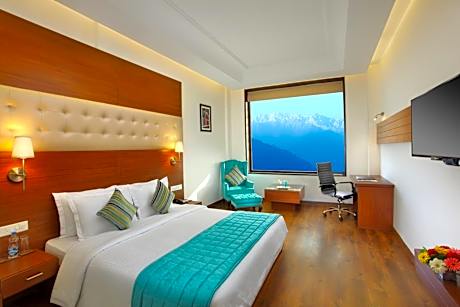 Superior Double or Twin Room with City View