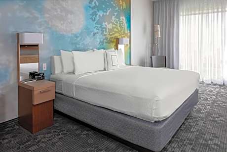 Suite, 1 King, Sofa bed