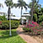 Lemon Tree Inn