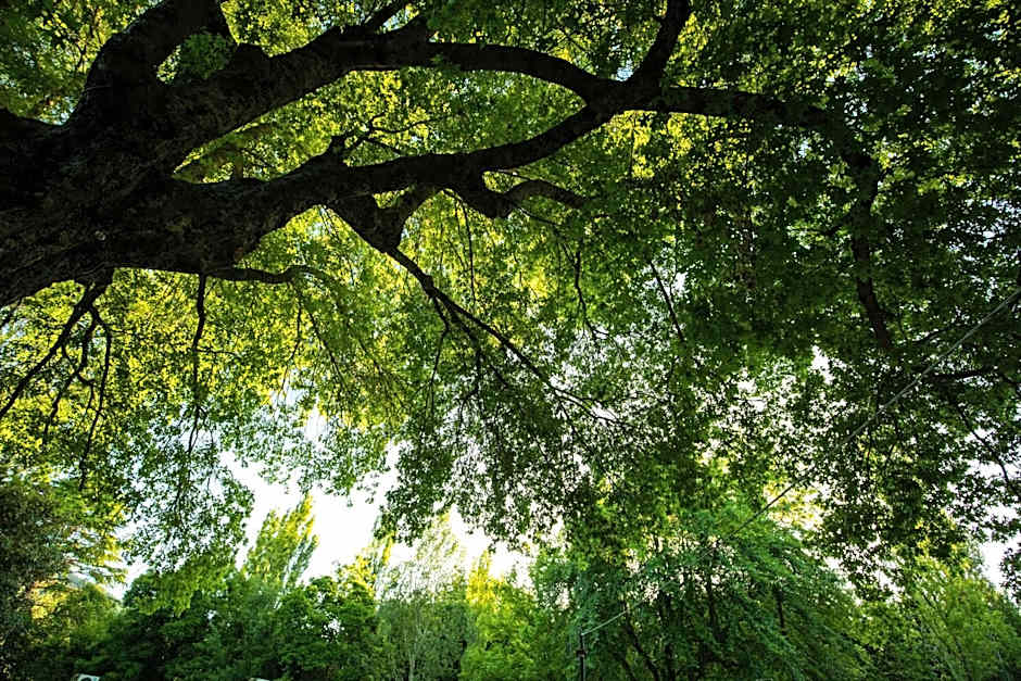 Adina Lodge Holiday Apartments