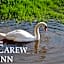 Carew Inn