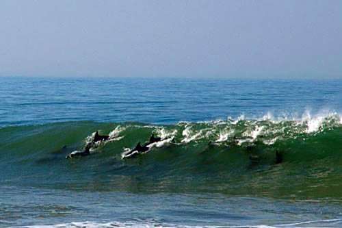 Breeze Inn Guesthouse