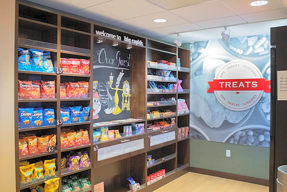 Hampton Inn By Hilton & Suites Big Rapids, Mi