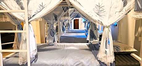 Bunk Bed in Mixed Dormitory Room