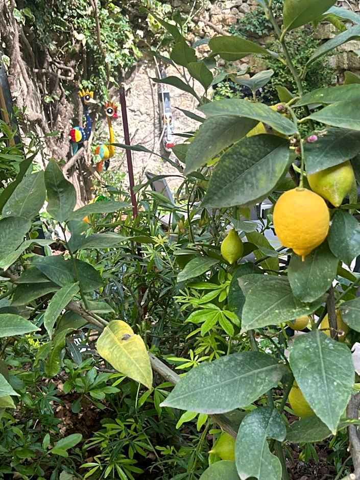 Le Clos d'Orange - Hotel & ville de Provence