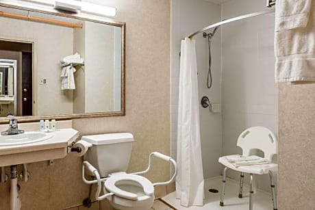 Queen Room - Accessible/Nonsmoking