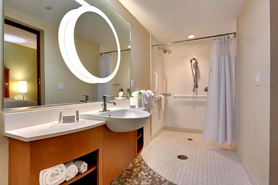 SpringHill Suites by Marriott Baton Rouge Gonzales