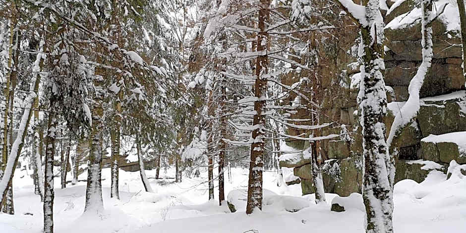 Comfort-Hotel garni Schierker Waldperle - inklusive Wellness