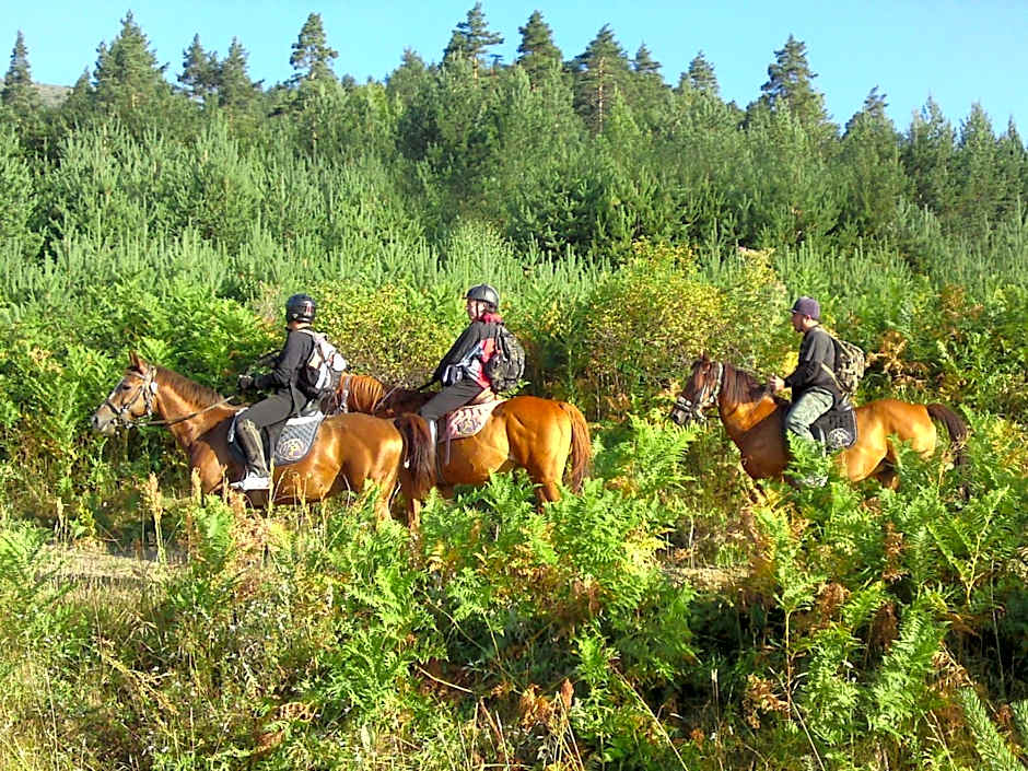 Rusaliite Adventure House