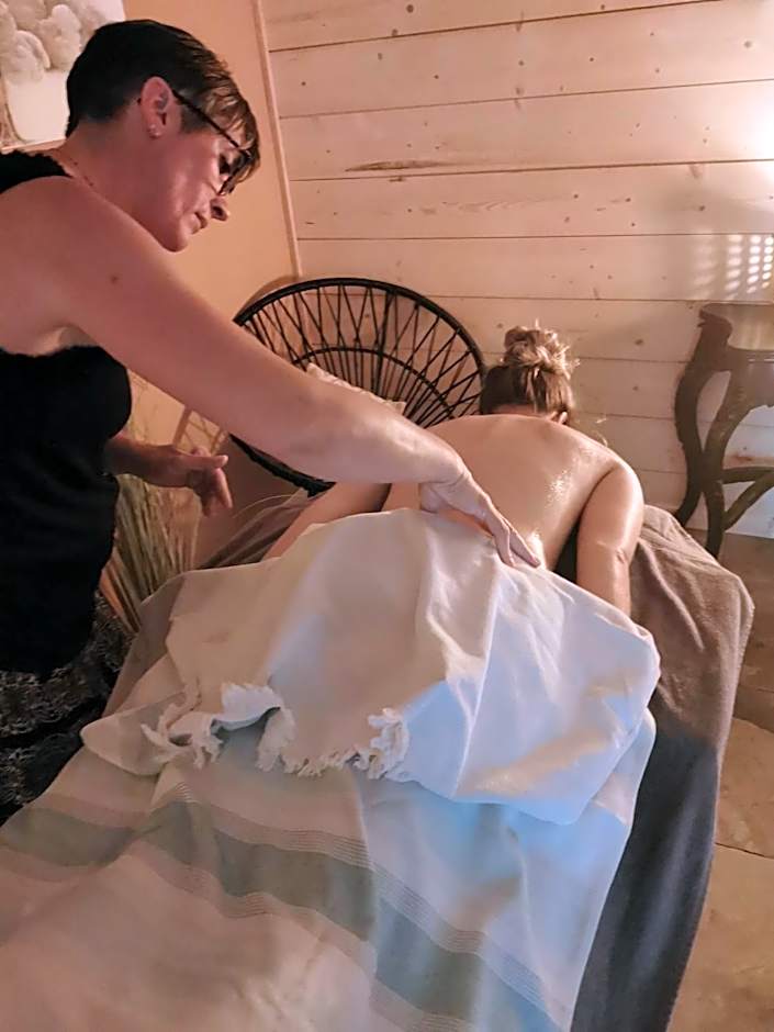 ETCHE ARGUINIA CHAMBRES HOTES et SPA