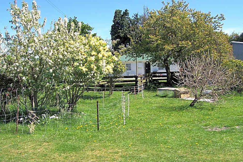 Wacky Stays - unique farm-stay glamping rentals, FREE animal feeding tours