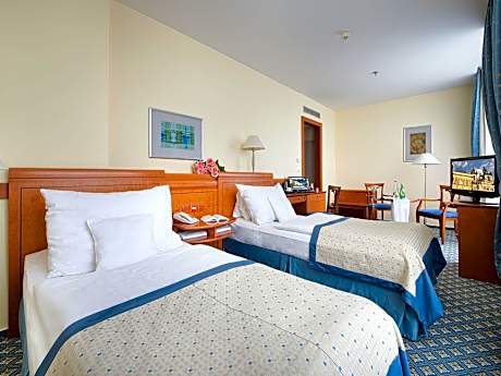 Double/Twin Room with Terrace