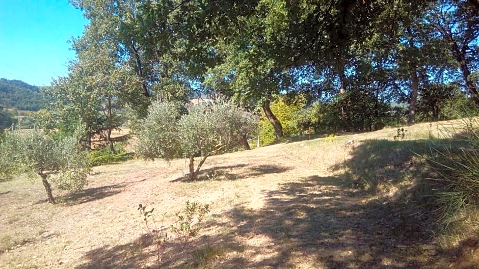 Tana Del Tasso