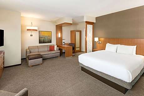 Specialty King Room with Sofa Bed