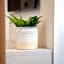 Fisa Rentals Ramblas Apartments