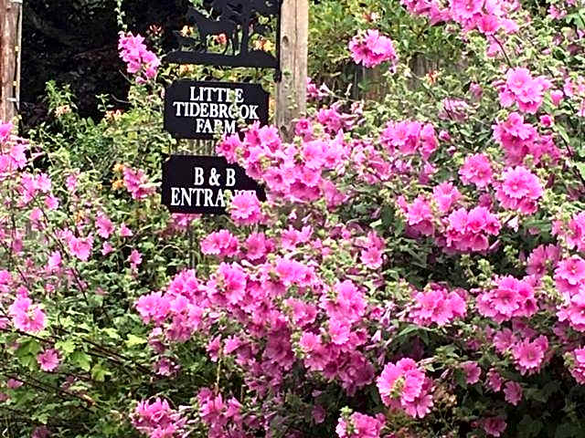 Little Tidebrook Farm
