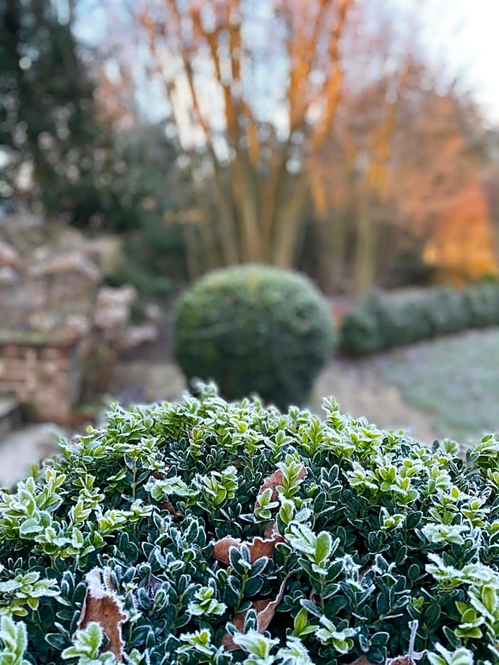 L'Atelier des Magnolias