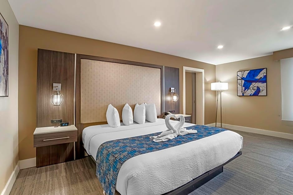 Best Western Plus Greenville I-385 Inn & Suites