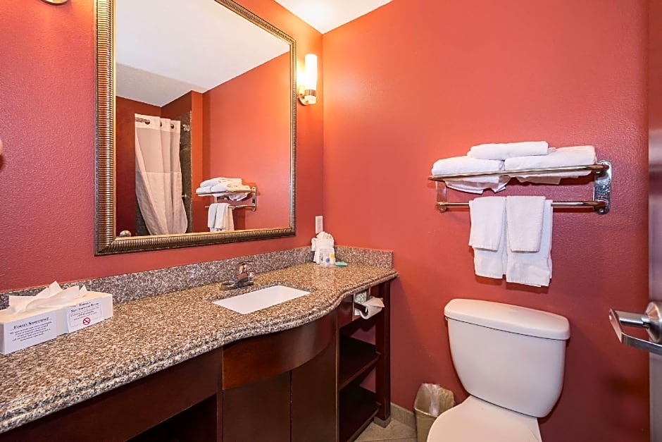 Comfort Inn & Suites Maingate South