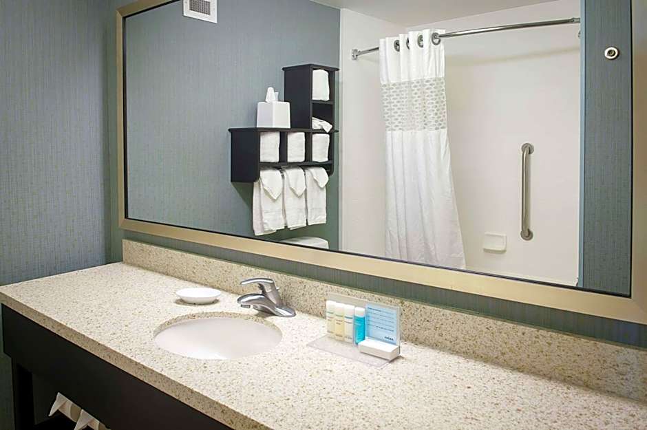Hampton Inn By Hilton & Suites St. Petersburg/Downtown