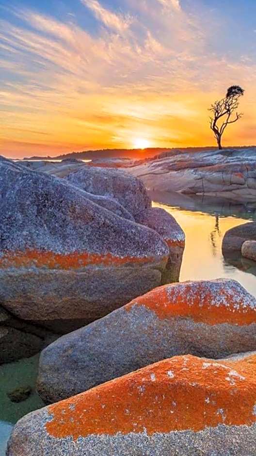 Georges Bay Apartments