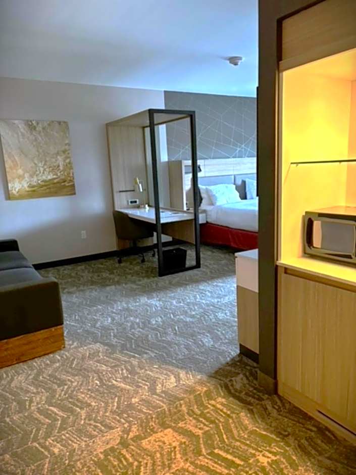 SpringHill Suites by Marriott Hampton Portsmouth