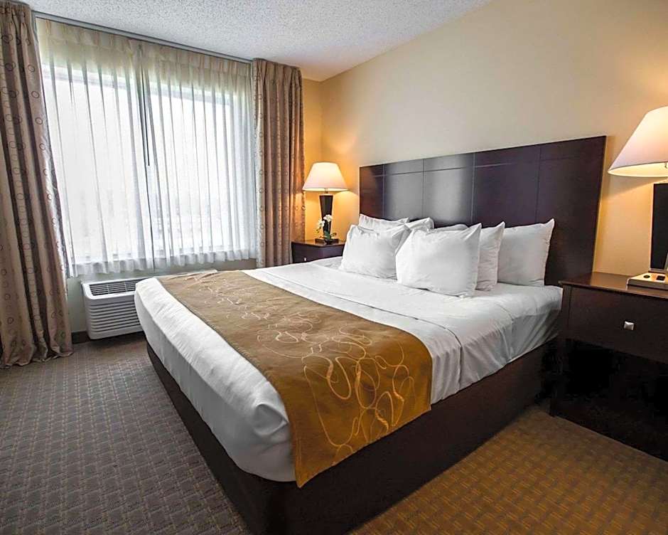 Comfort Suites University Area