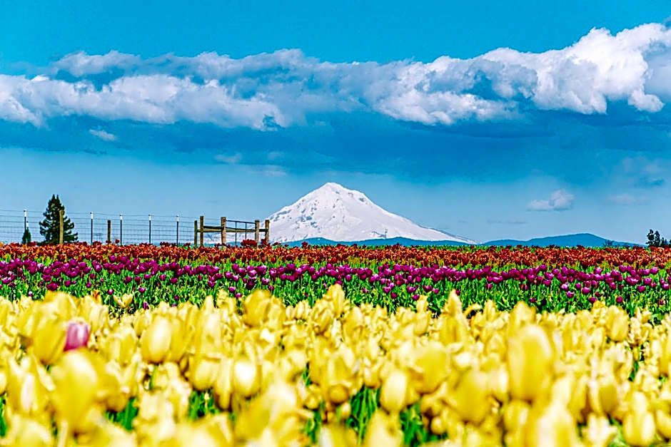 Holiday Inn Portland South/Wilsonville By IHG