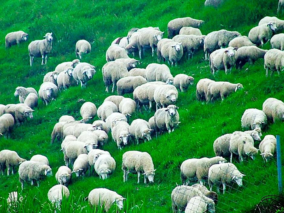 Formosa Vacation Village Homestay