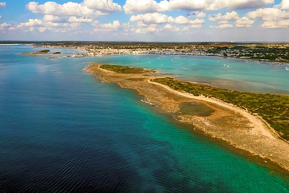 B&B Dreams and Delights