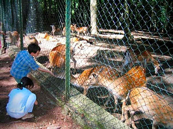 Albergo Villa Bianca