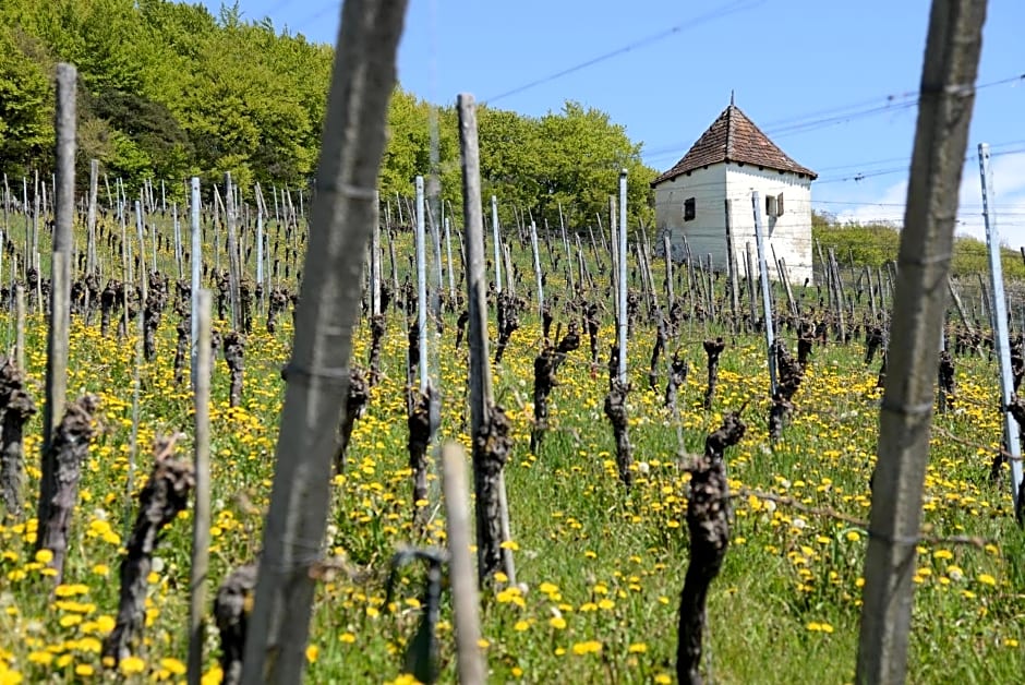 Am Paradies