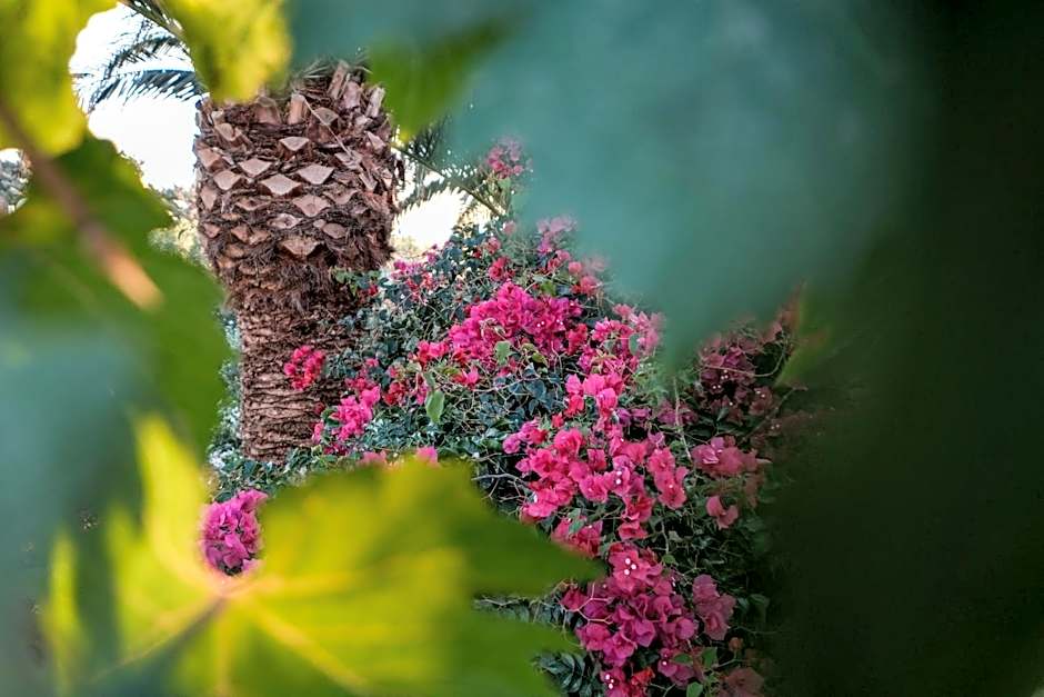 Golden Beach Studios & Suites