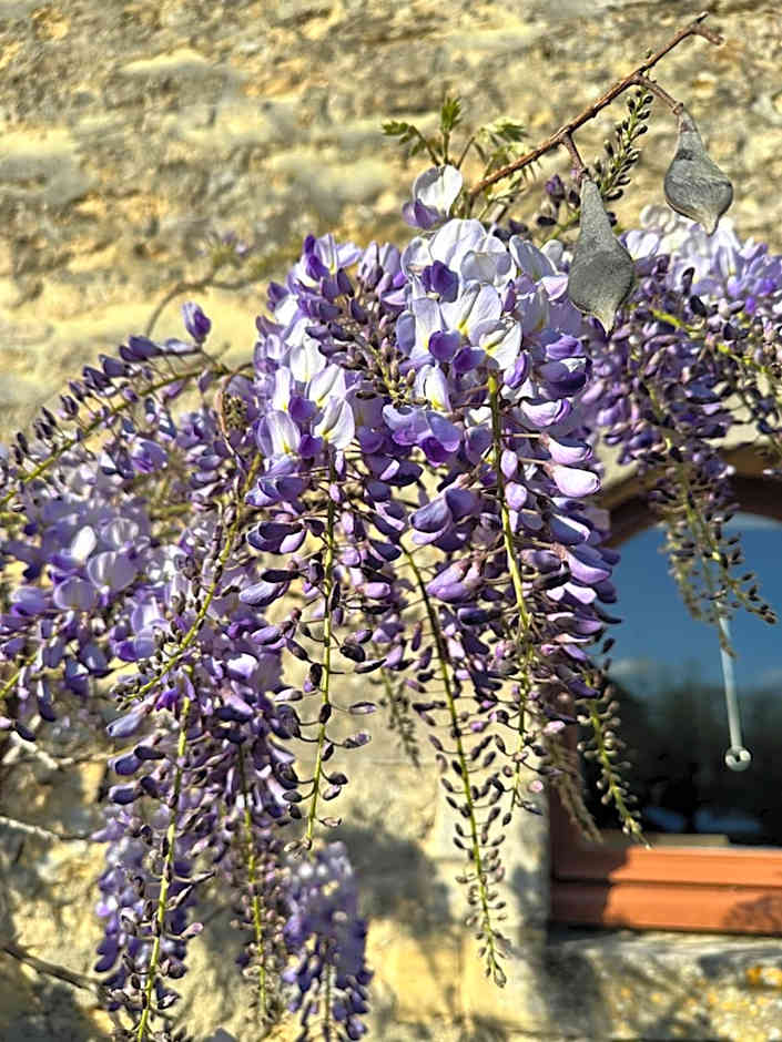 Hôtel Restaurant le clos de l 'Ancien Pressoir