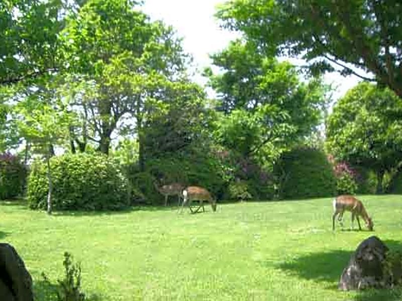 Kirishima Onsen Ryokojin Sanso