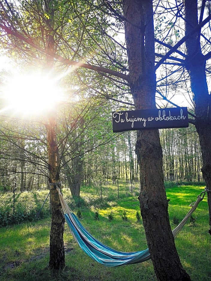 Domki Między Drzewami