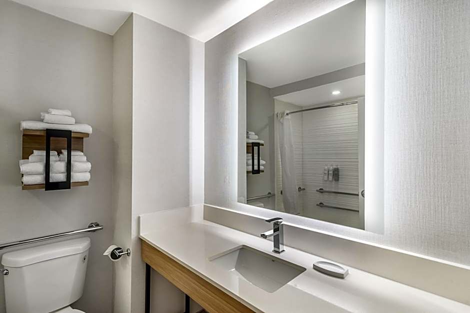 Hampton Inn By Hilton Atlanta-Stockbridge