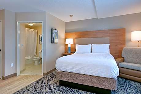 Studio Queen Suite