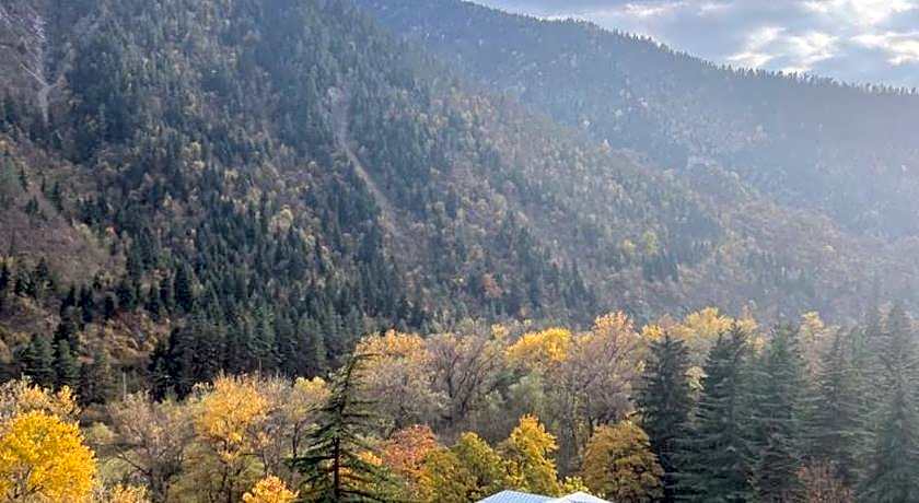 Borjomi Likani Health & Spa Centre