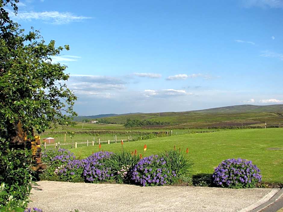 The Dog and Partridge