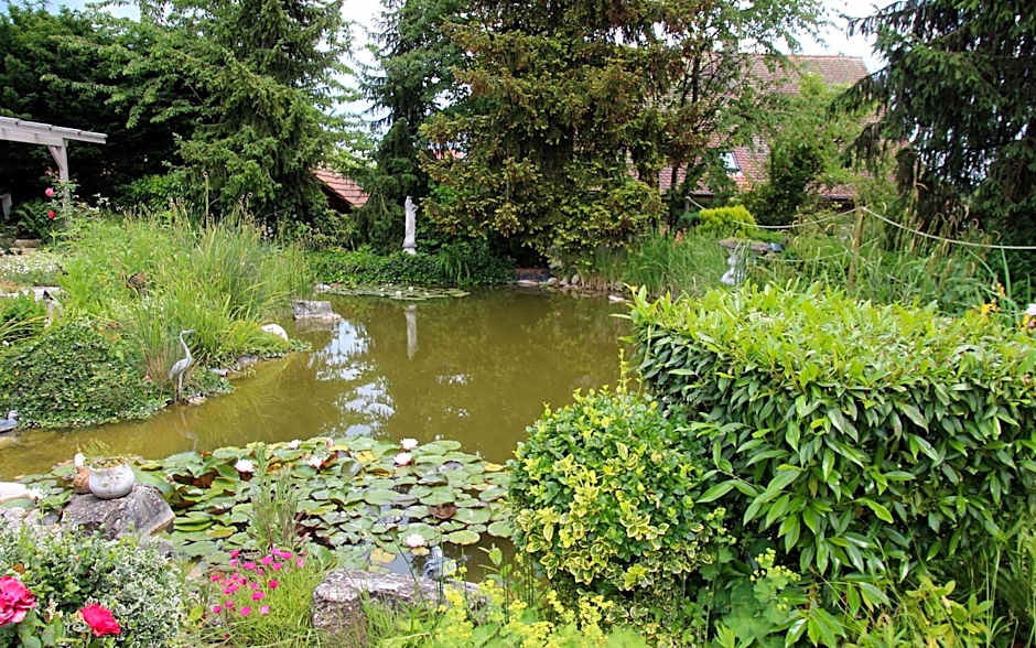 Zimmer Paradiso