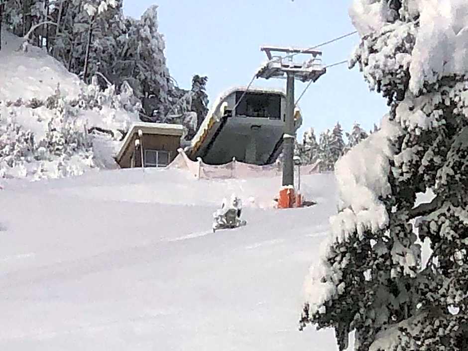 Piccolo Hotel Claudia No Pets