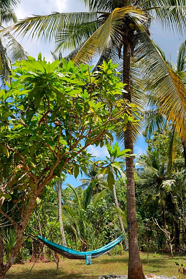 Dangin Kubu Bungalow