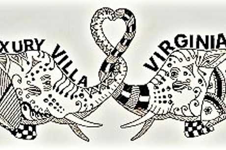 Villa Luxury Virginia With Pool and garden