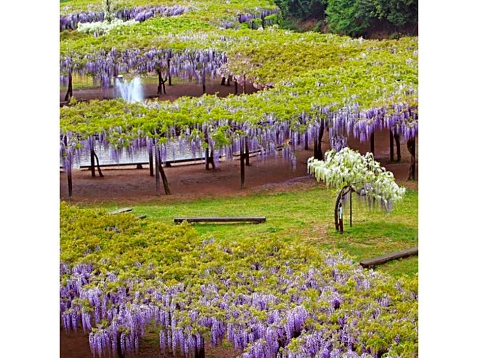 Pure Hotel - Vacation STAY 44183v