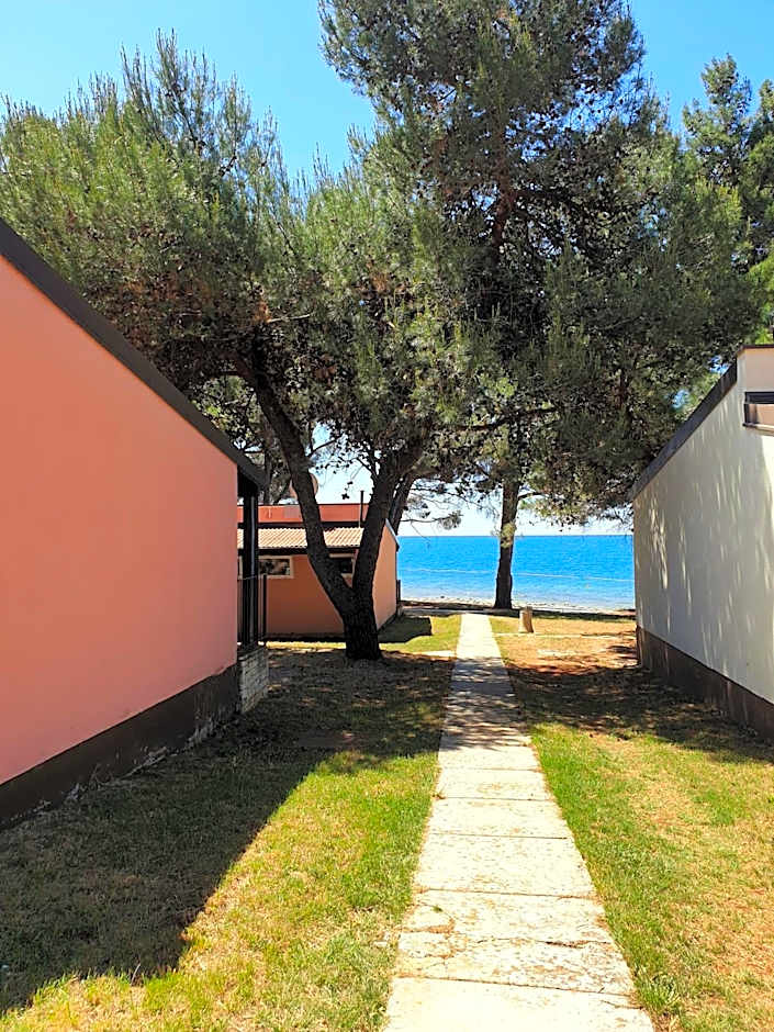 Family Bungalow Pineta