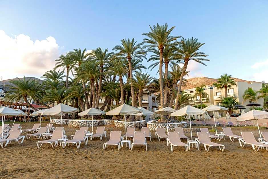 Zeus Hotels Palm Beach