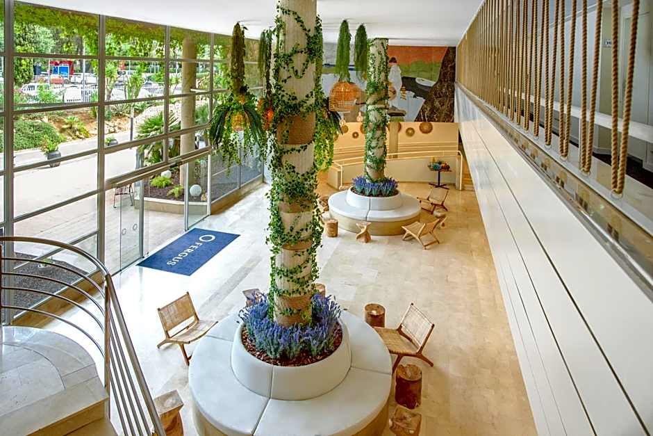 FERGUS Club Palmanova Park